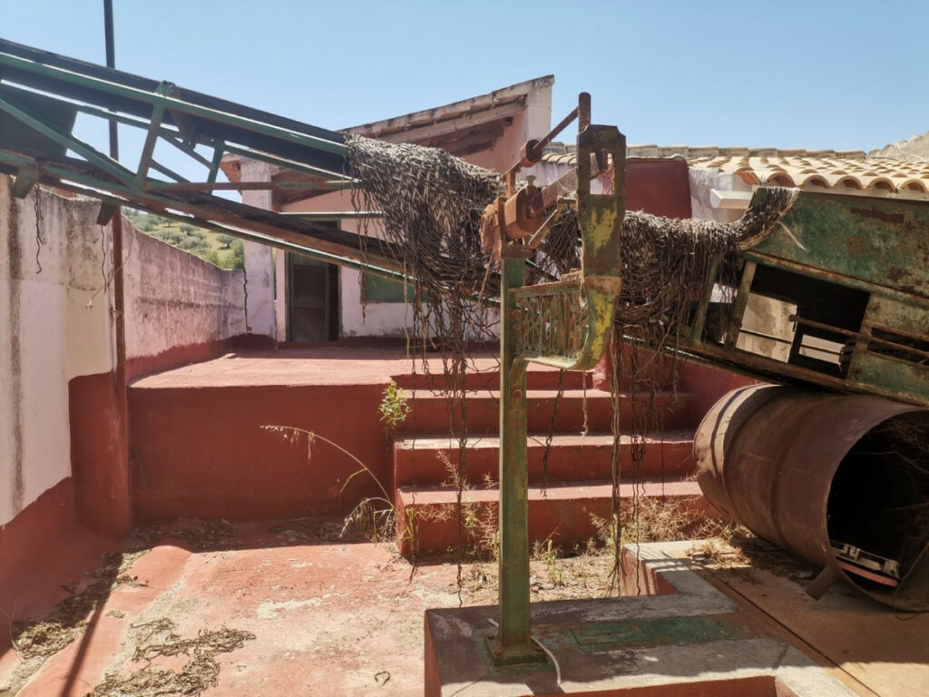 Finca - Cortijo Alcaucín Málaga - imagen 19