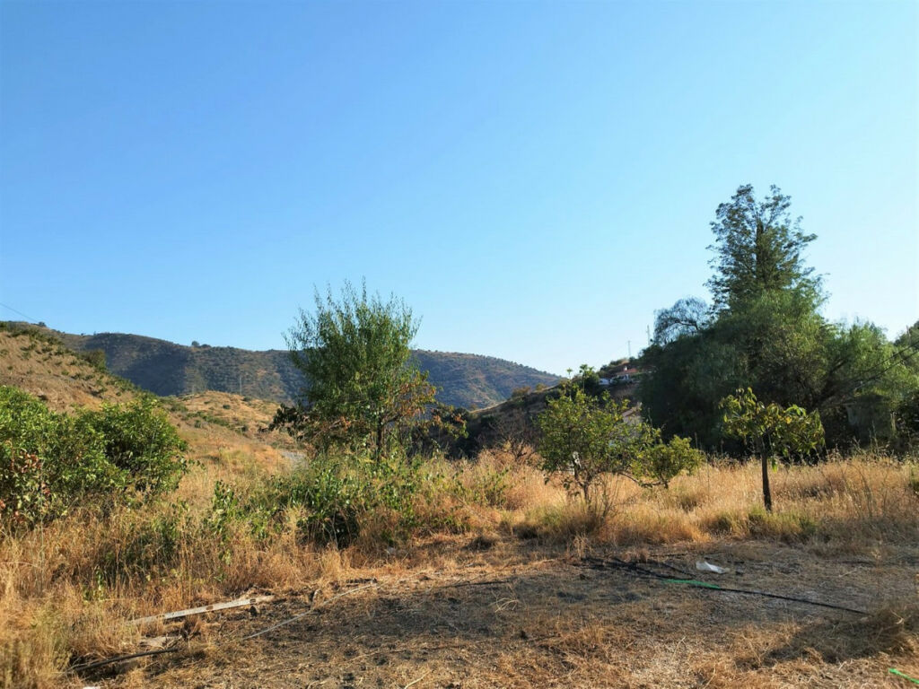 Finca - Cortijo Canillas de Aceituno Málaga - Bild 19