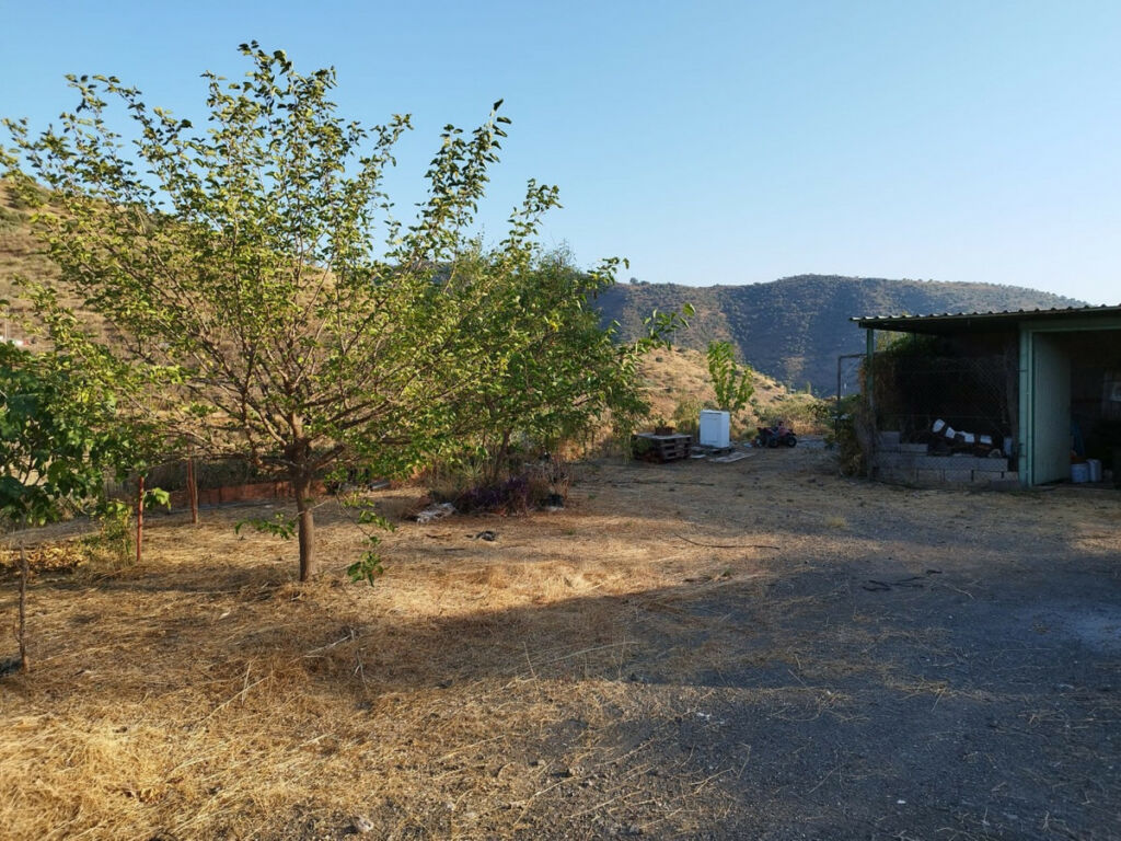 Finca - Cortijo Canillas de Aceituno Málaga - Bild 2