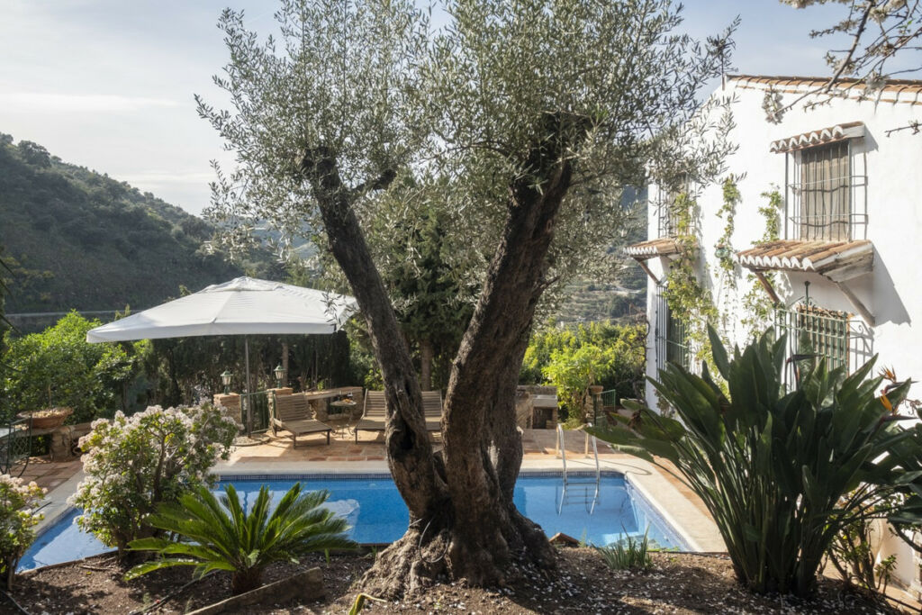 Detached Villa Sayalonga Málaga - imagen 2