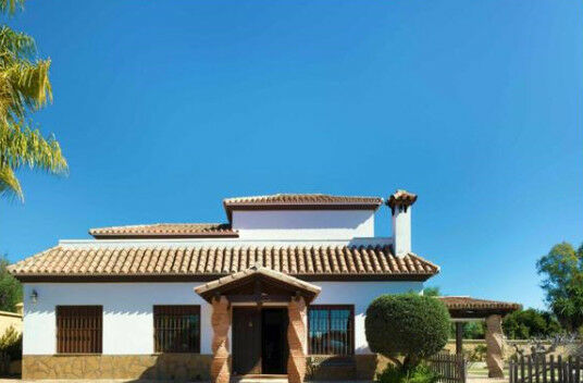 Detached Villa Estepona Málaga - imagen 2