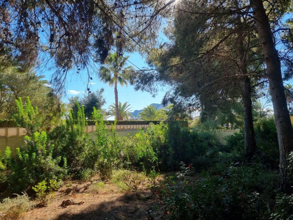 Land Calpe Alicante - imagen 2
