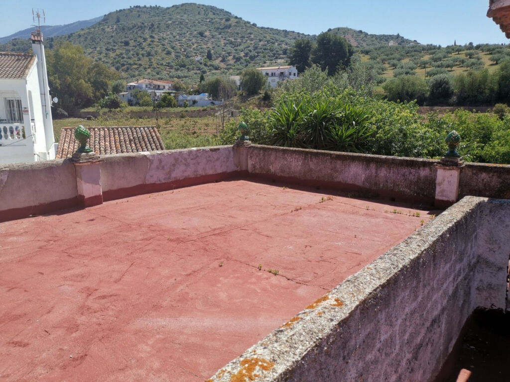 Finca - Cortijo Alcaucín Málaga - imagen 21
