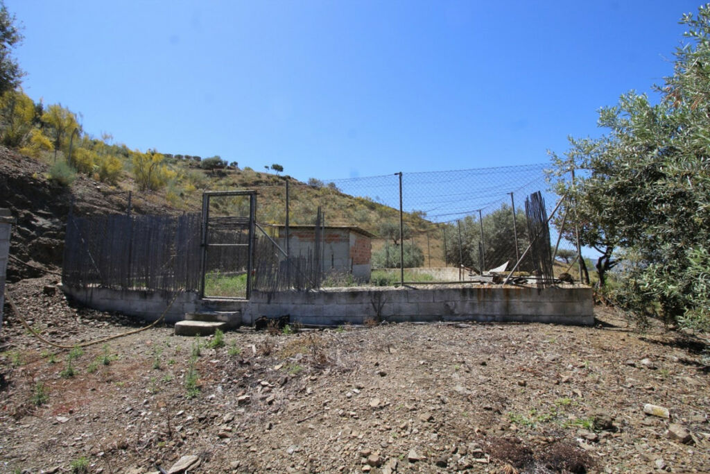 Finca - Cortijo Canillas de Aceituno Málaga - imagen 21