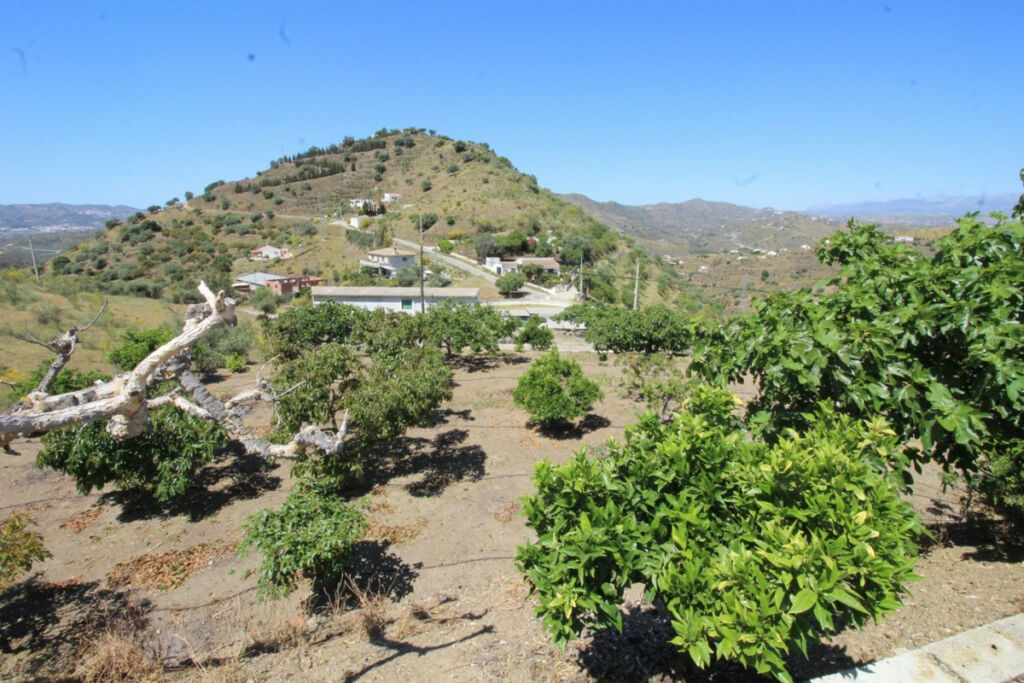 Finca - Cortijo Canillas de Aceituno Málaga - imagen 22