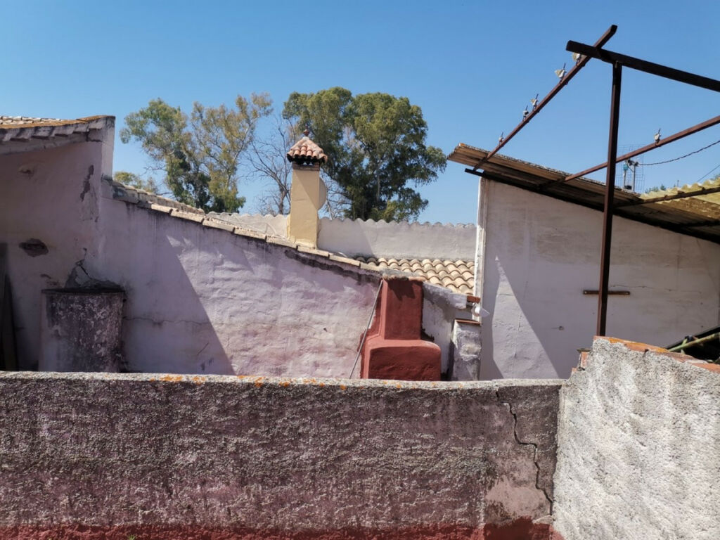 Finca - Cortijo Alcaucín Málaga - imagen 23