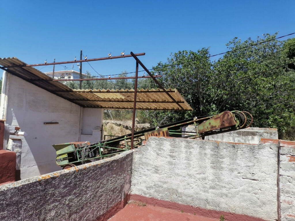 Finca - Cortijo Alcaucín Málaga - imagen 24
