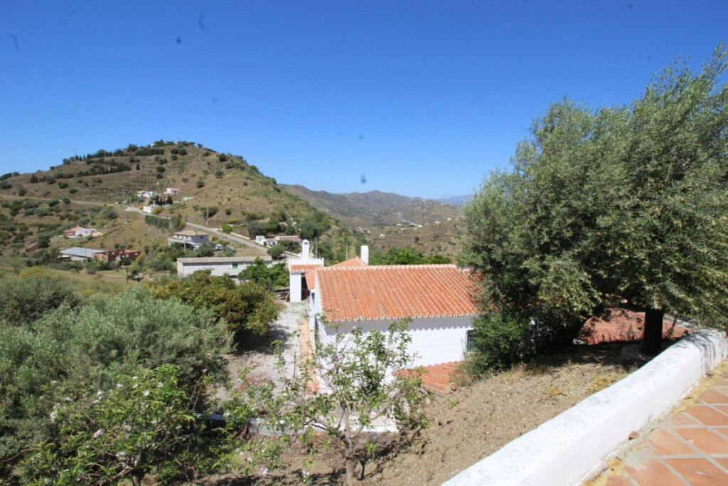 Finca - Cortijo Canillas de Aceituno Málaga - imagen 25