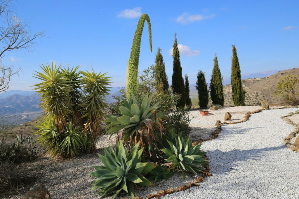 Detached Villa Alcaucín Málaga - imagen 28
