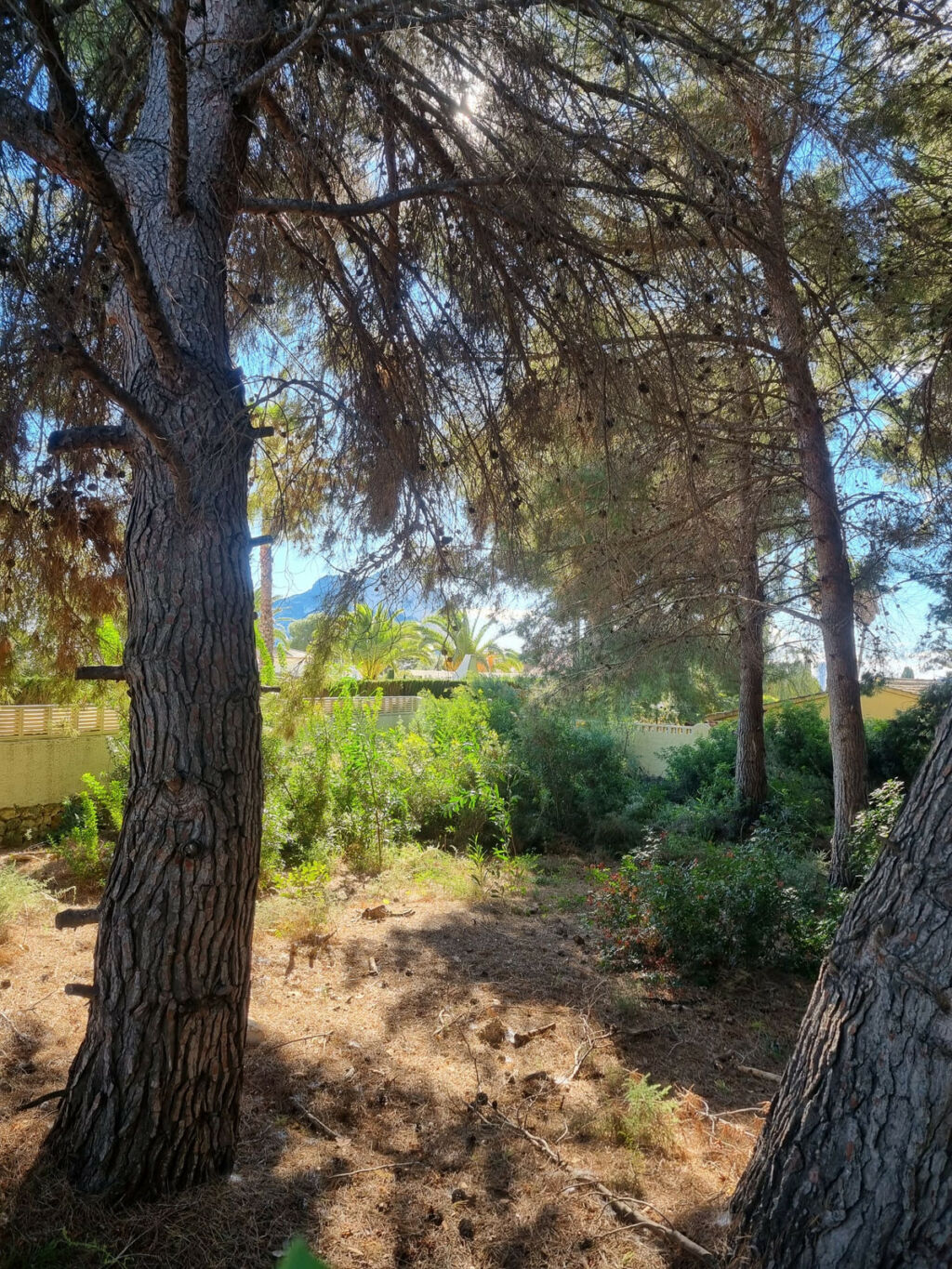 Land Calpe Alicante - imagen 3