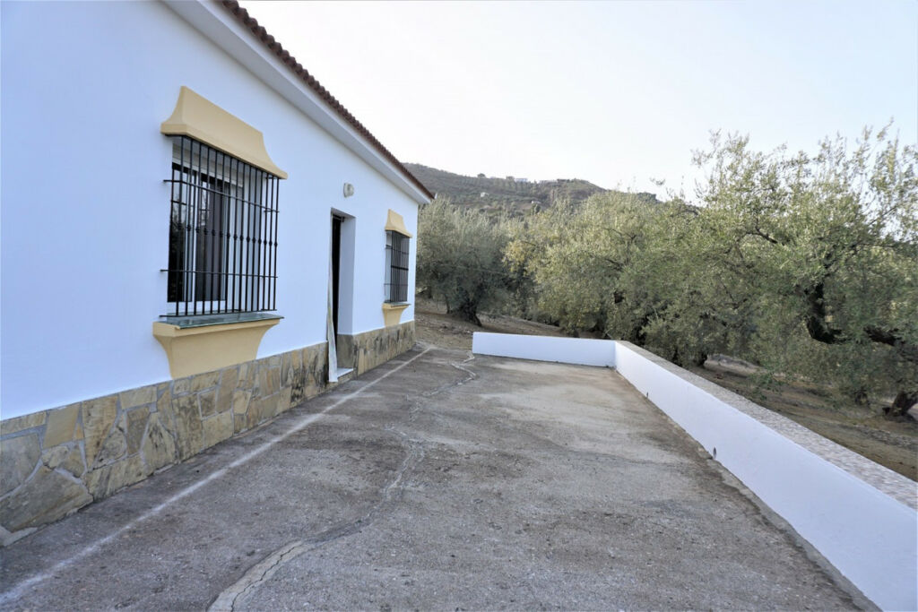 Finca - Cortijo Alcaucín Málaga - Bild 3