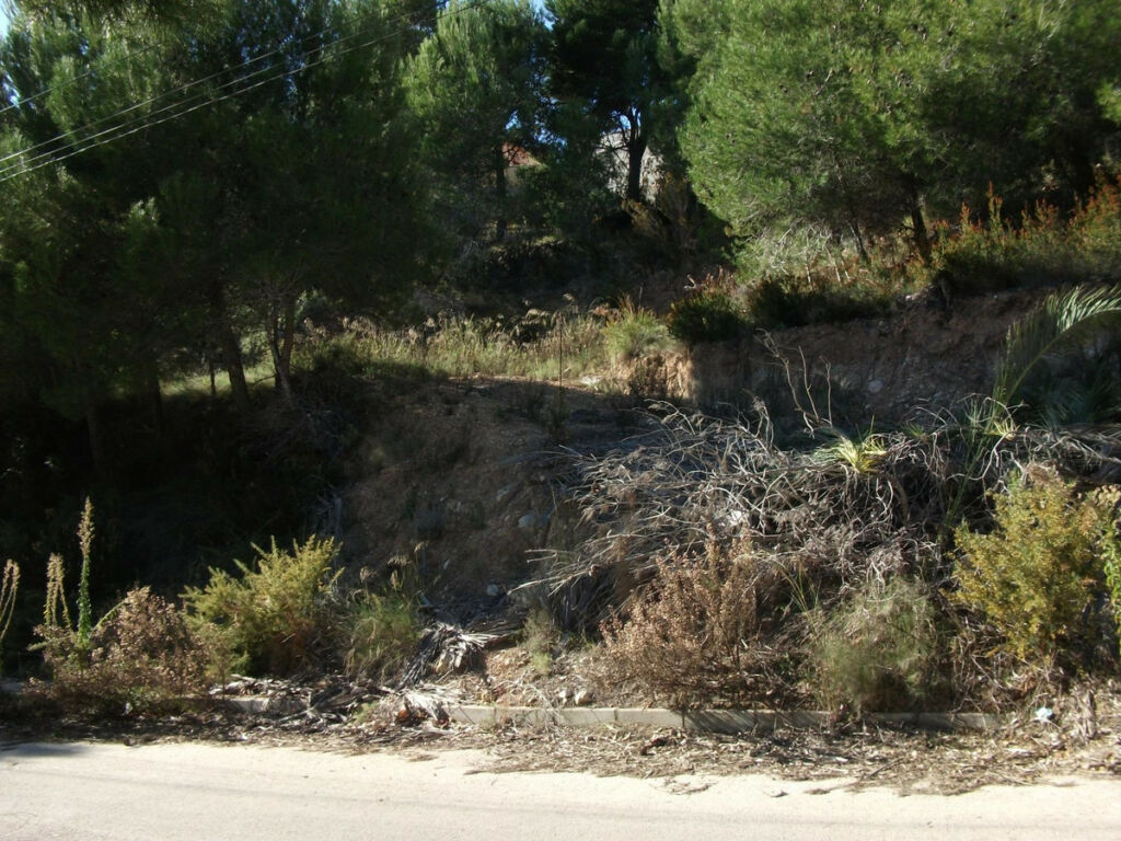 Land Altea Alicante - imagen 3