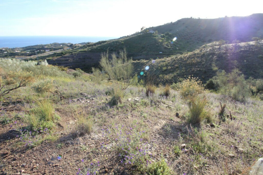 Land Benajarafe Málaga - Bild 2