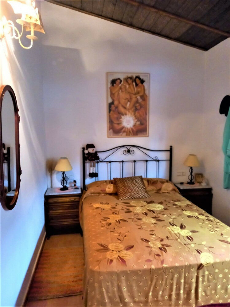 Detached Villa Almayate Málaga - imagen 30