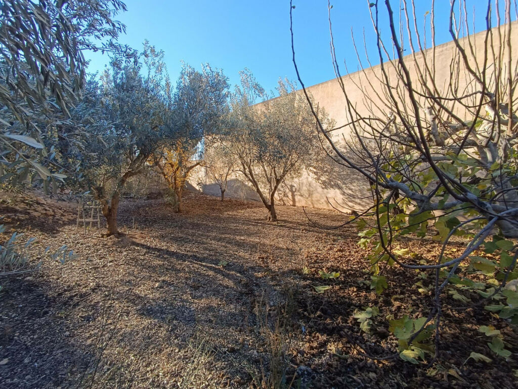 Detached Villa Avileses Murcia - image 31