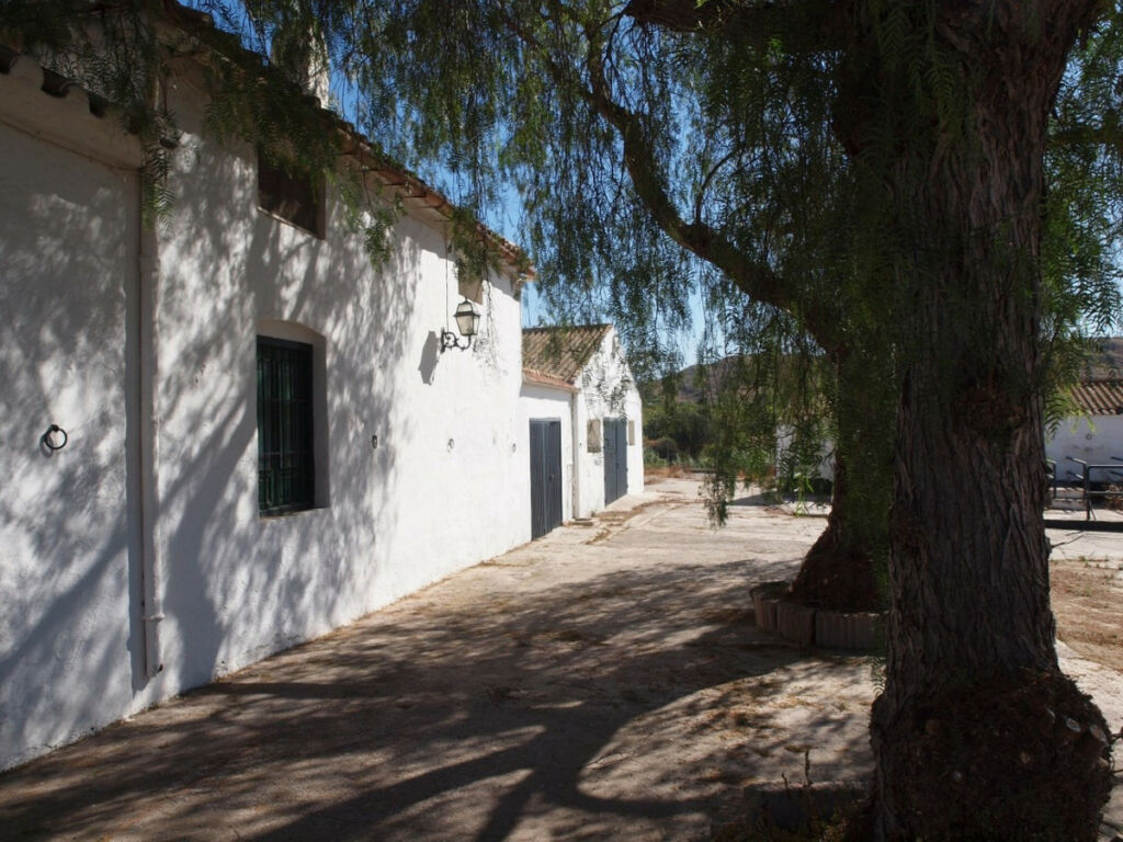 Finca - Cortijo Almayate Málaga - Bild 34