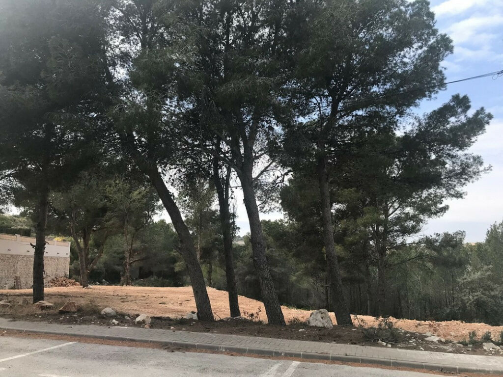 Land Moraira Alicante - imagen 4