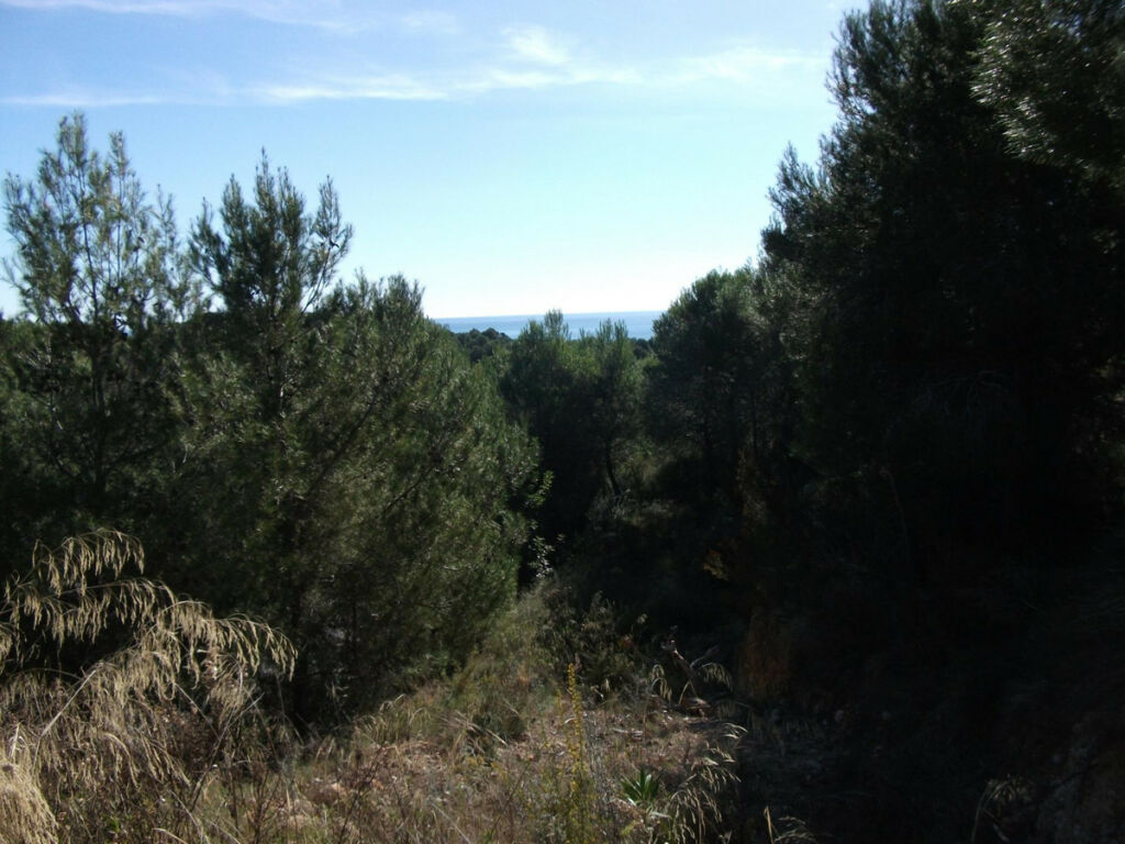 Land Altea Alicante - imagen 4