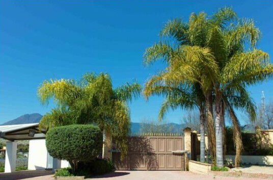 Detached Villa Estepona Málaga - imagen 4