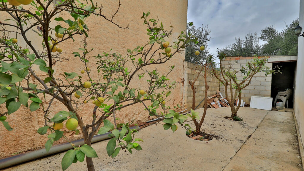 Finca - Cortijo Alfarnatejo Málaga - imagen 4