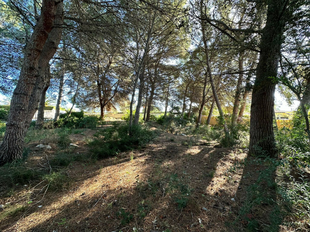 Land Calpe Alicante - imagen 4