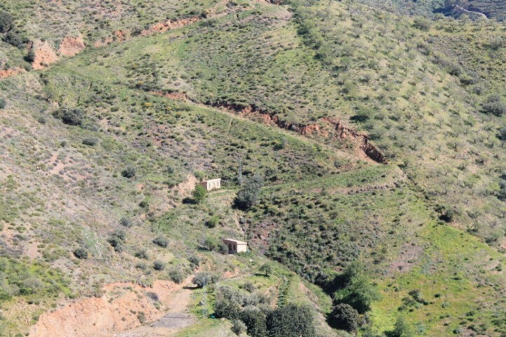 Land El Borge Málaga - imagen 4