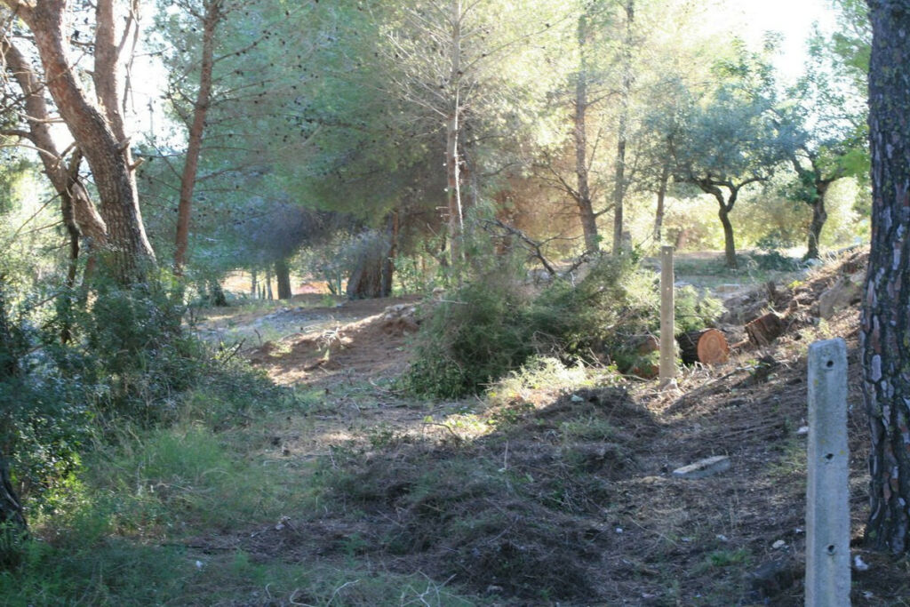 Land Benitachell Alicante - image 6