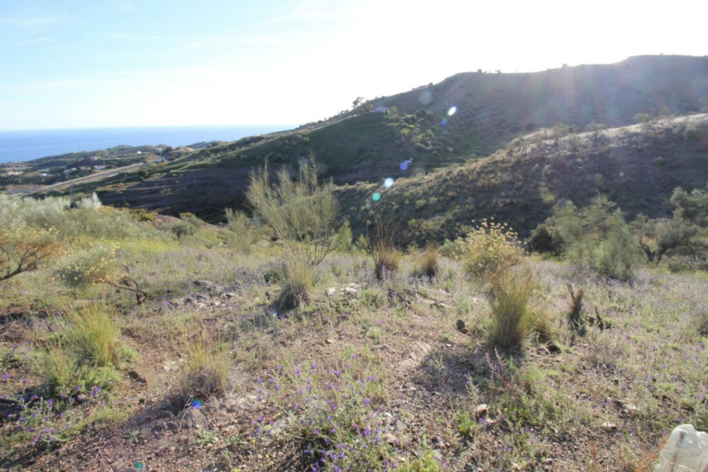 Land Benajarafe Málaga - Bild 3