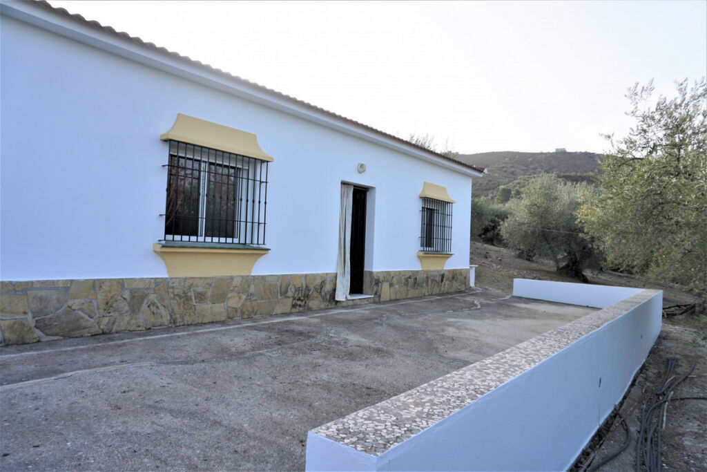 Finca - Cortijo Alcaucín Málaga - Bild 4