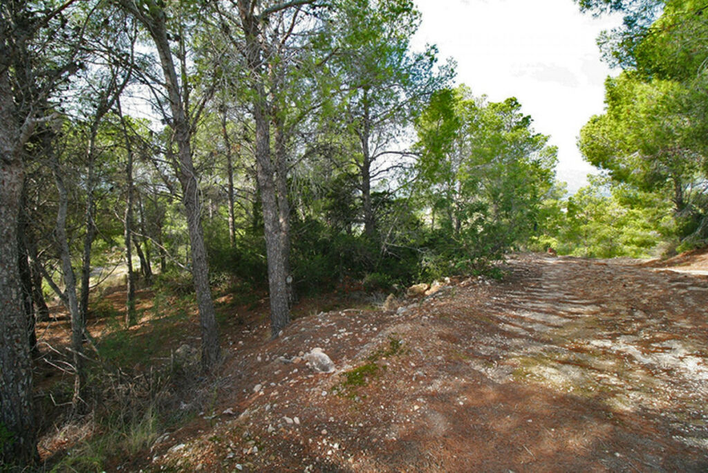 Land Altea Alicante - Bild 5