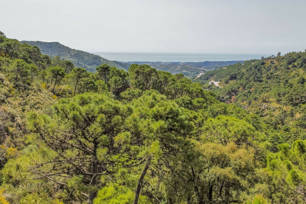 Land Benahavís Málaga - imagen 5