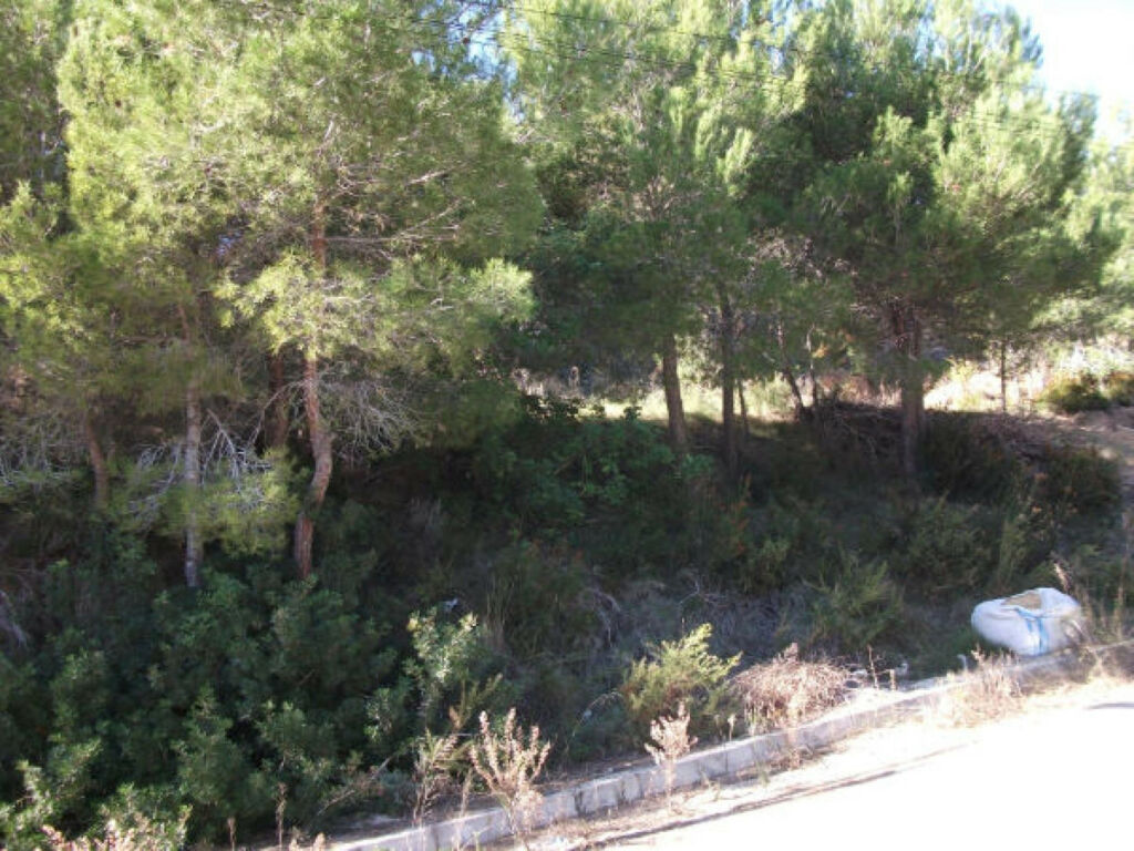 Land Altea Alicante - imagen 5