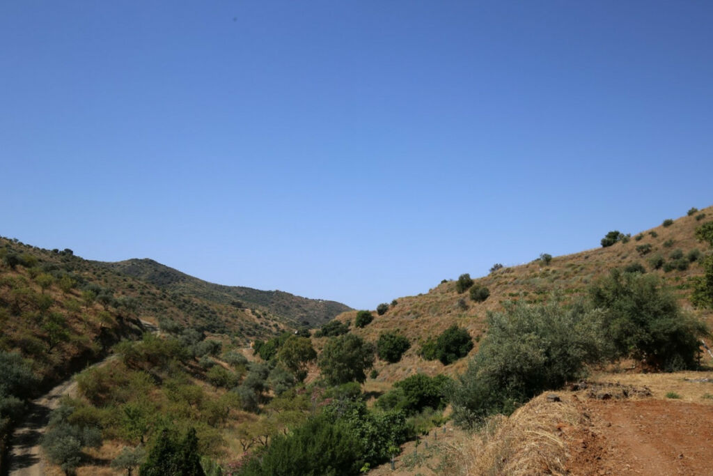 Land Totalán Málaga - imagen 5