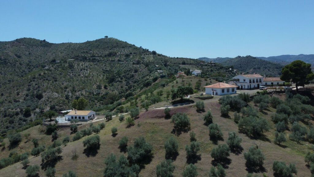 Detached Villa Comares Málaga - Bild 5