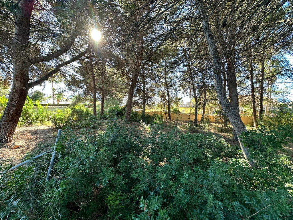 Land Calpe Alicante - imagen 5