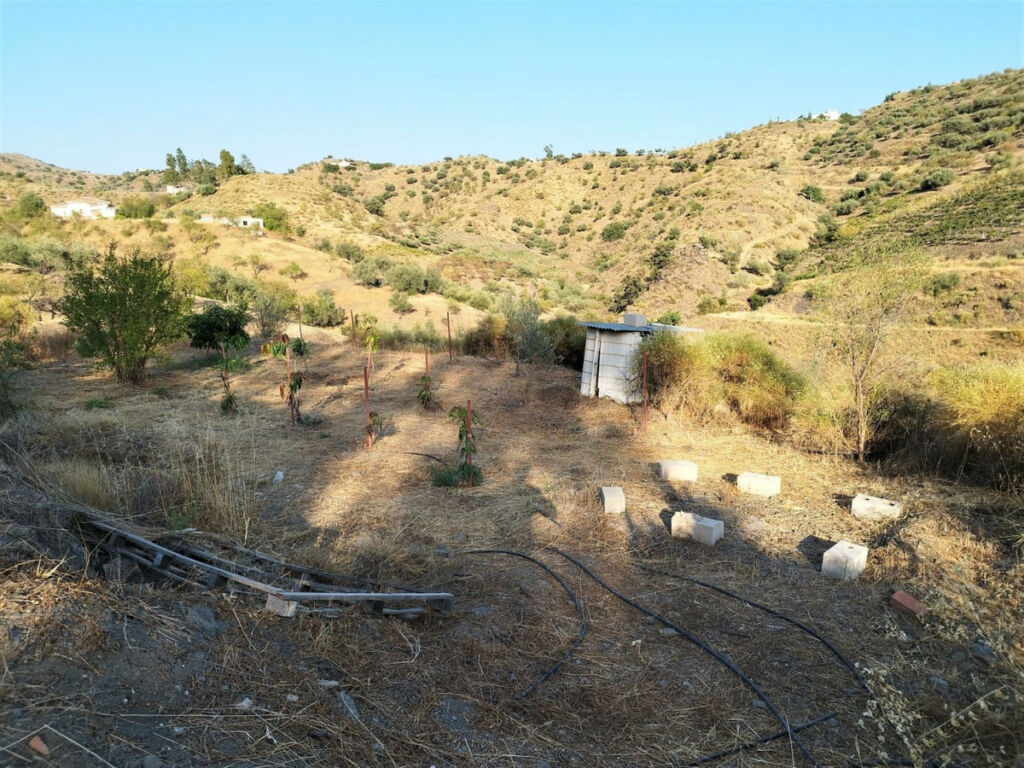 Finca - Cortijo Canillas de Aceituno Málaga - Bild 6