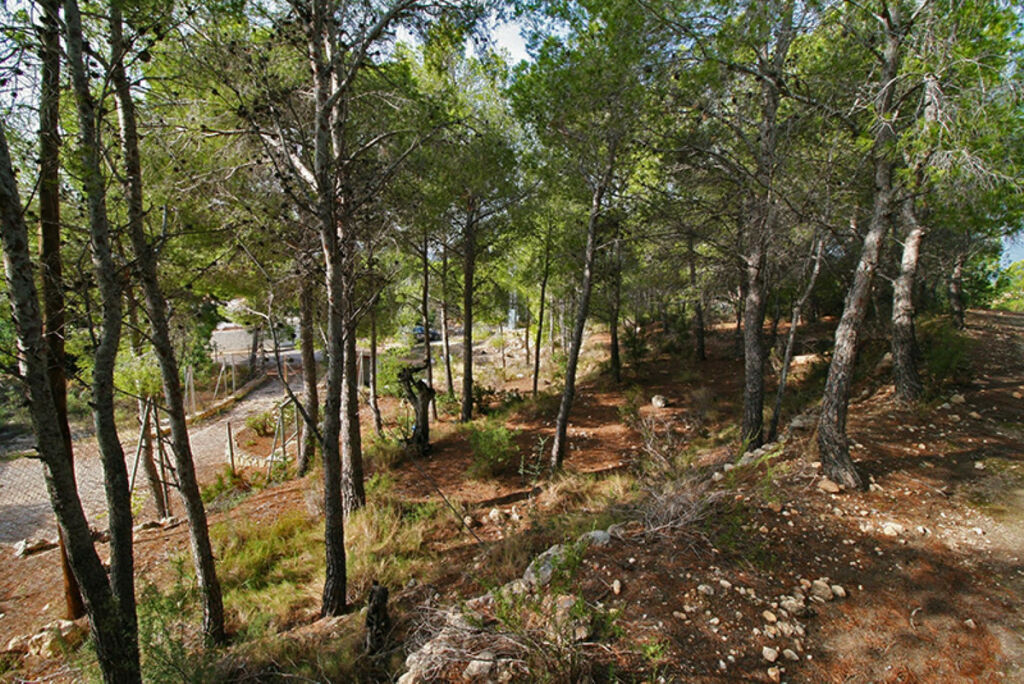 Land Altea Alicante - Bild 6