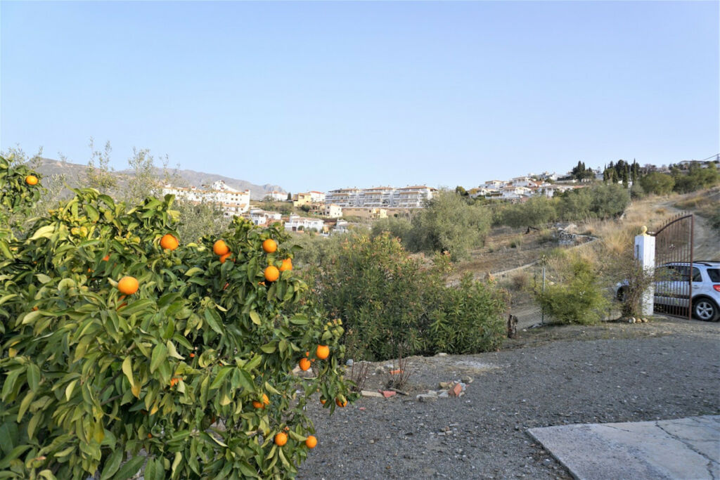Finca - Cortijo Alcaucín Málaga - Bild 6