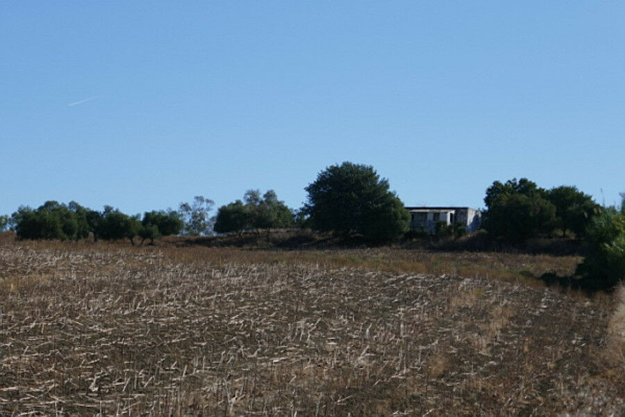 Land Arcos de la Frontera Cádiz - imagen 6