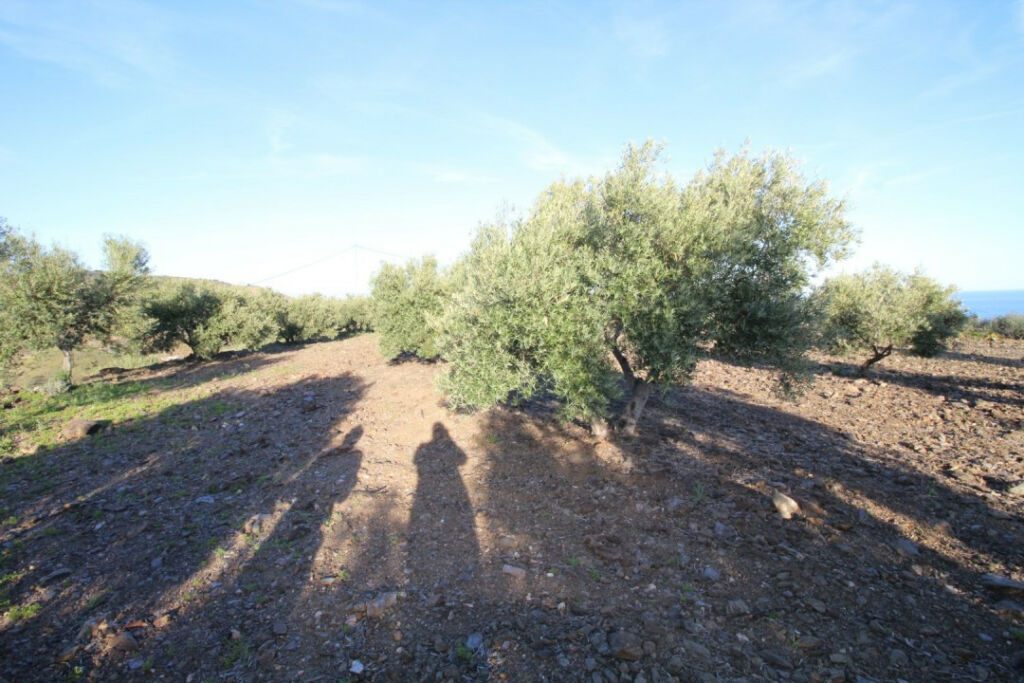 Land Benajarafe Málaga - imagen 2