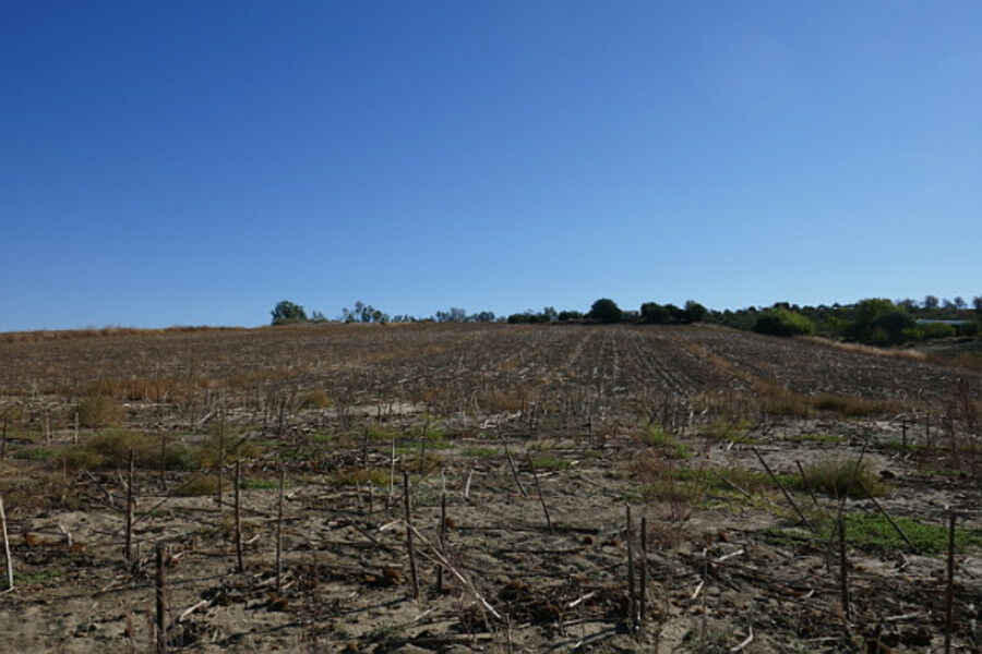 Land Arcos de la Frontera Cádiz - imagen 7