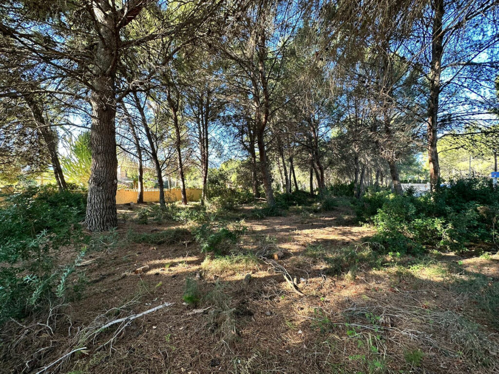 Land Calpe Alicante - imagen 7
