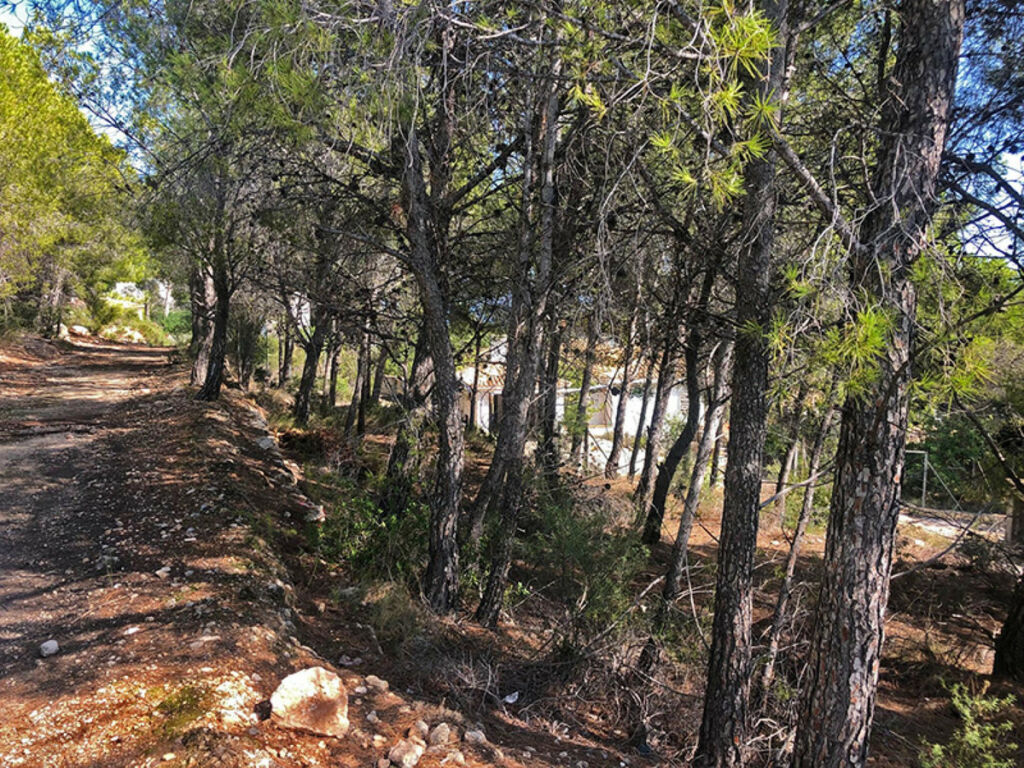 Land Altea Alicante - Bild 7