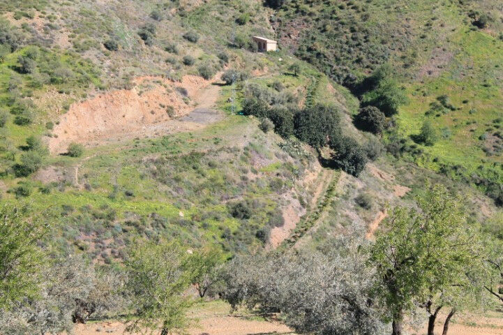 Land El Borge Málaga - imagen 8