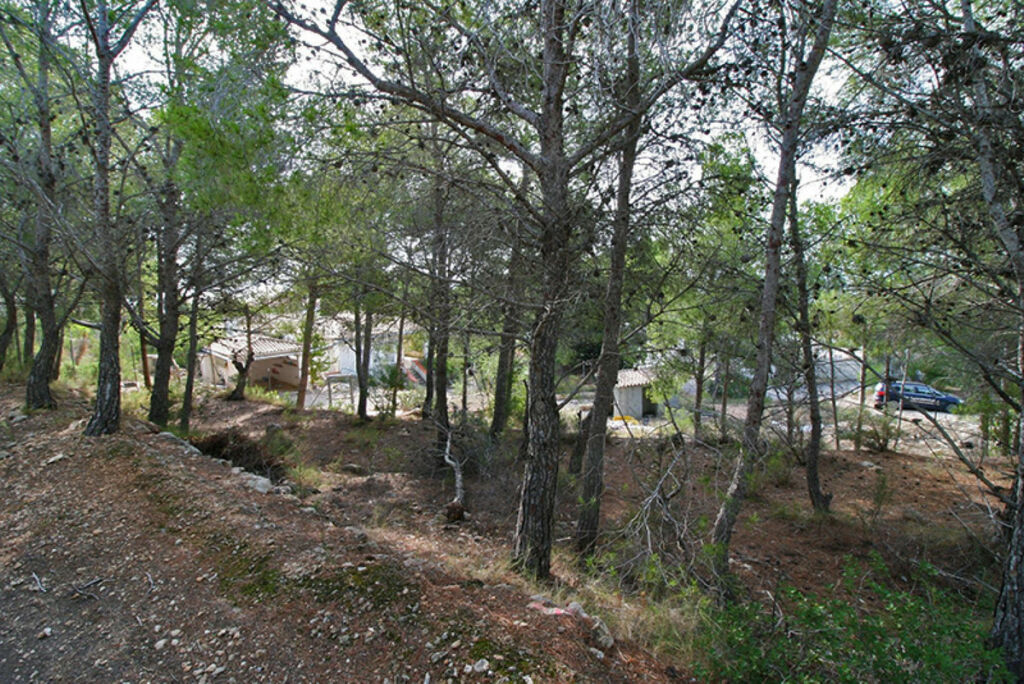 Land Altea Alicante - Bild 8