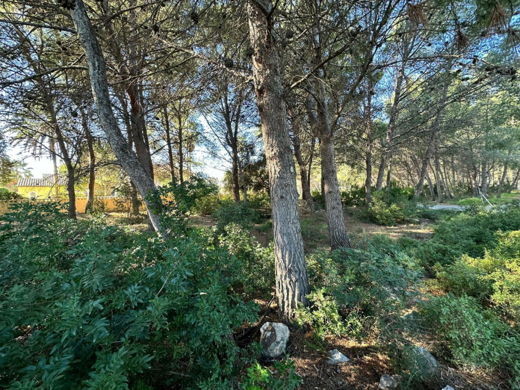 Land Calpe Alicante - imagen 8