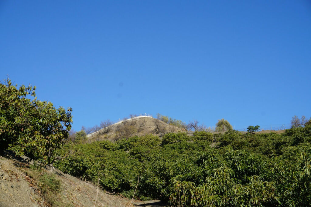 Finca - Cortijo La Viñuela Málaga - Bild 8