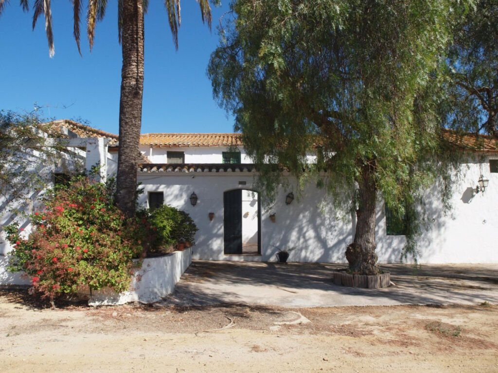 Finca - Cortijo Almayate Málaga - Bild 8