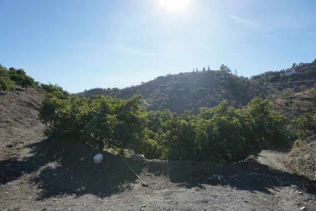 Finca - Cortijo La Viñuela Málaga - Bild 9