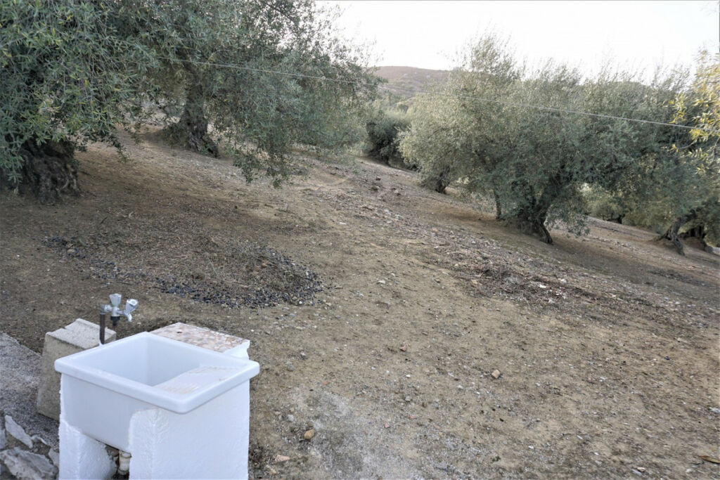 Finca - Cortijo Alcaucín Málaga - Bild 9